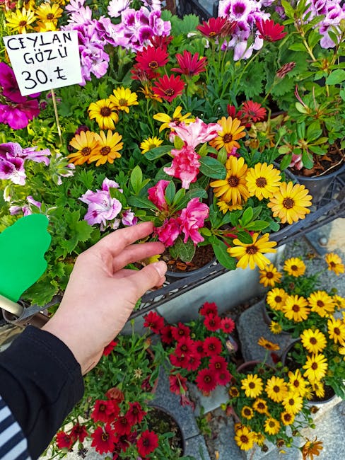 A hand gently touches a pink and white striped petunia flower in a display of vibrant, fresh flowers at a market. Surrounding the hand, there are bright yellow daisies, deep red gerbera daisies, and v
